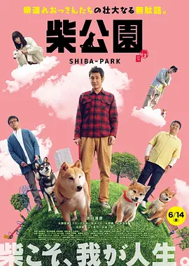 会长隐秘的美女秘书